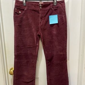 Canyon River Blues Corduroys Size 14